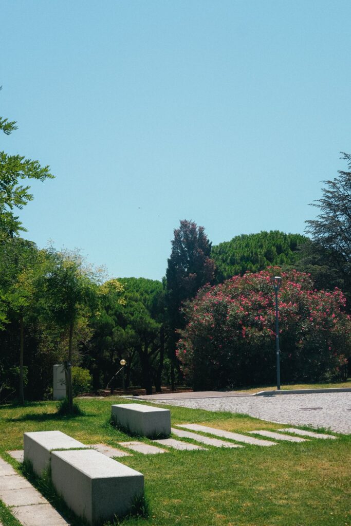 Escapadas